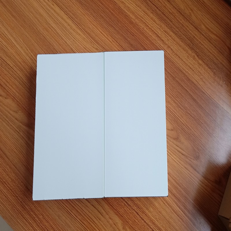 Mechanical Sandwich Panel with Foam Filler