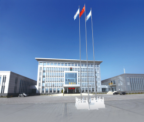 Shandong Luoxin Pharmaceutical Group Hengxin Pharmaceutical Co., Ltd.: A Leading Player in Pharmaceutical Manufacturing