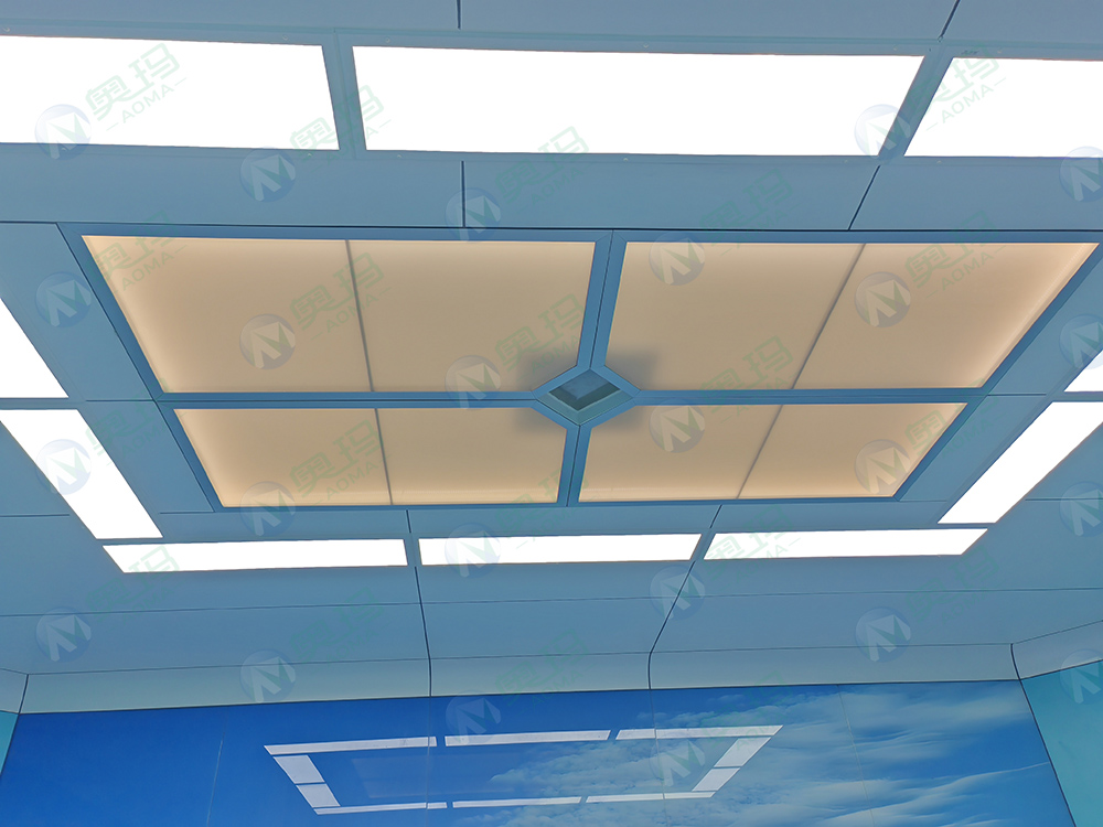 Ceiling Laminar Air Flow System Ceiling Laminar Air Flow System