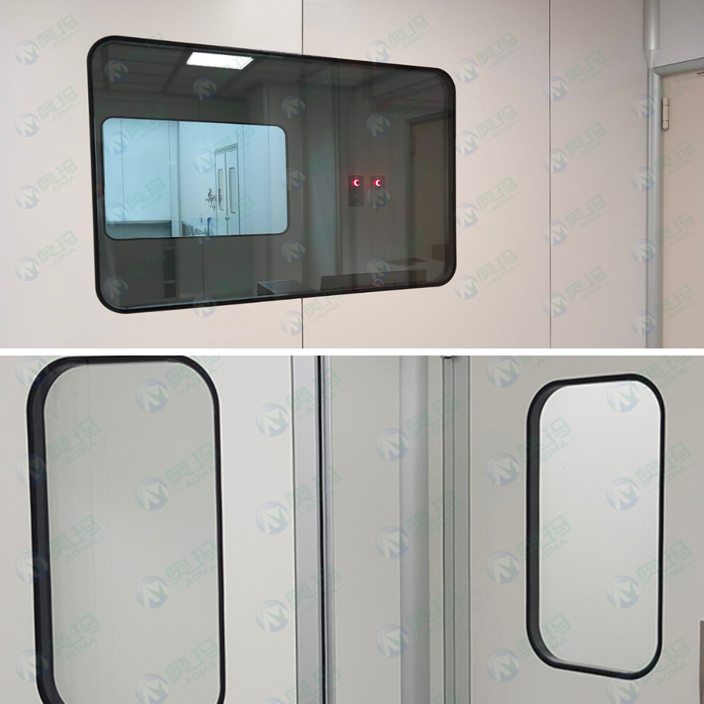 Cleanroom windows